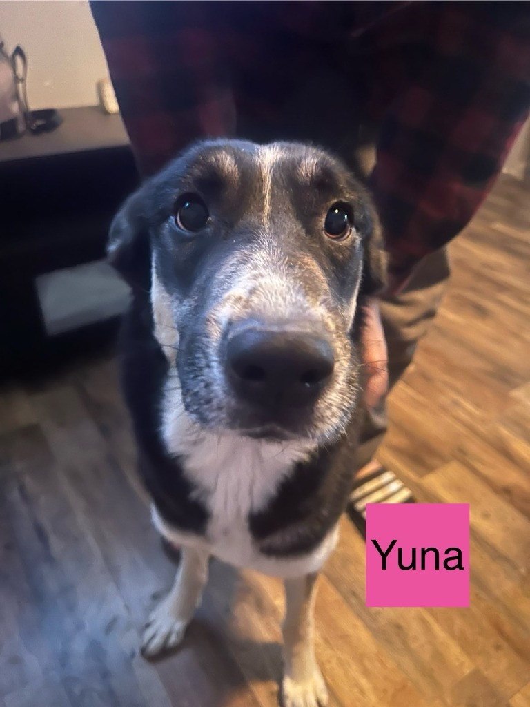 Yuna