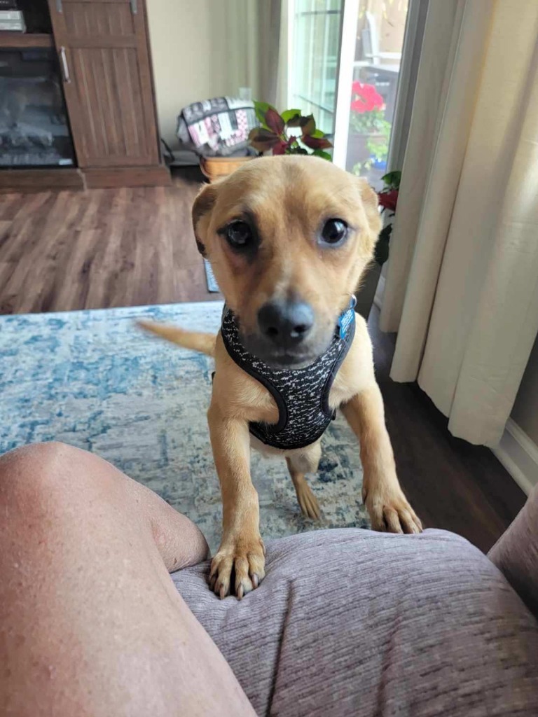 Duke