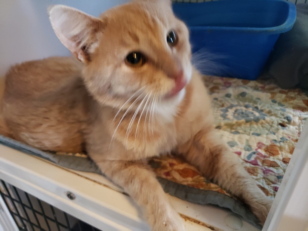 Jim