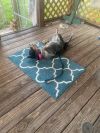 Millie photo 3