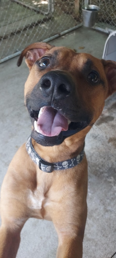 Knox