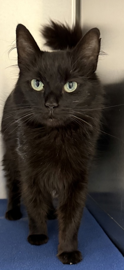 Sabrina