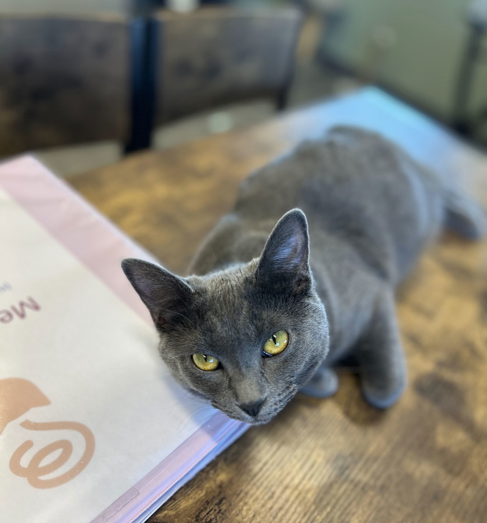 Baby Jane @ The Cat's Brew