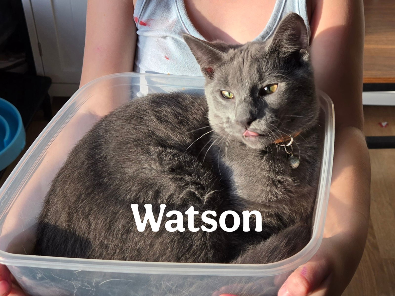 Watson James