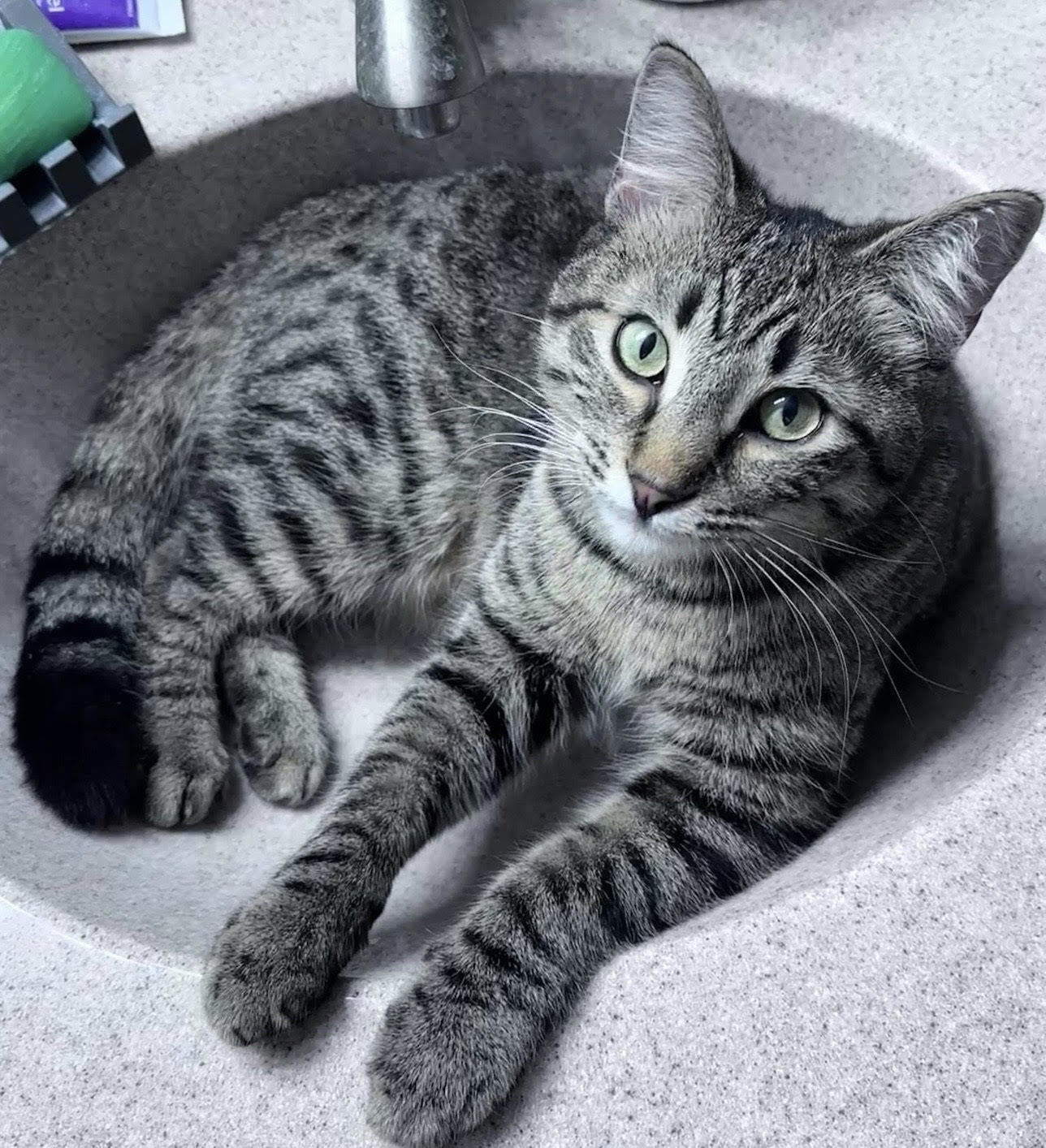 Alan