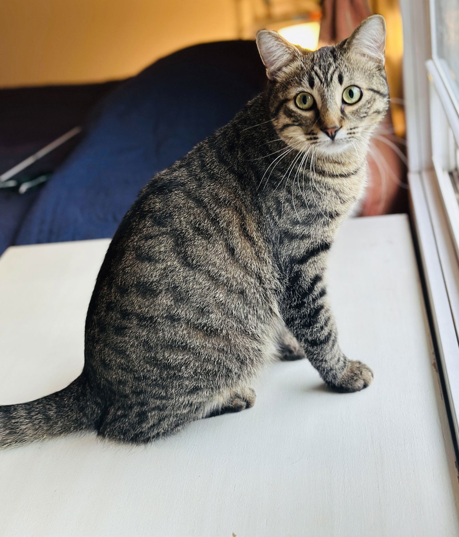 Alan