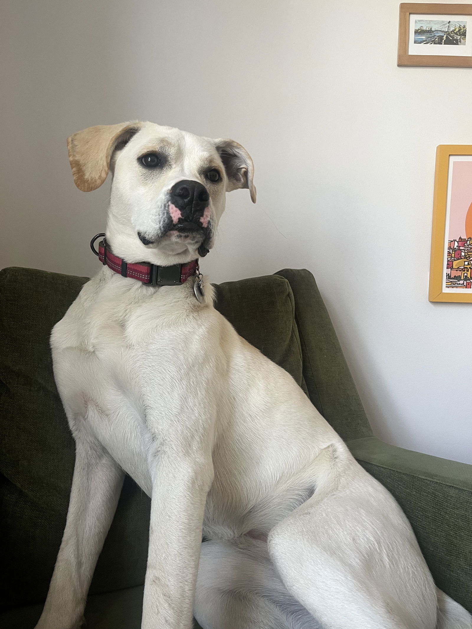 Luna Girl