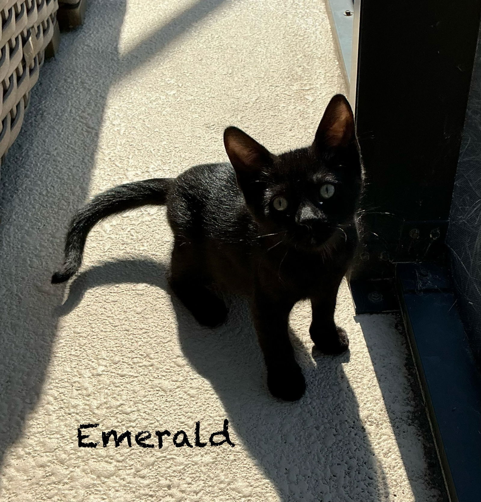 Emerald