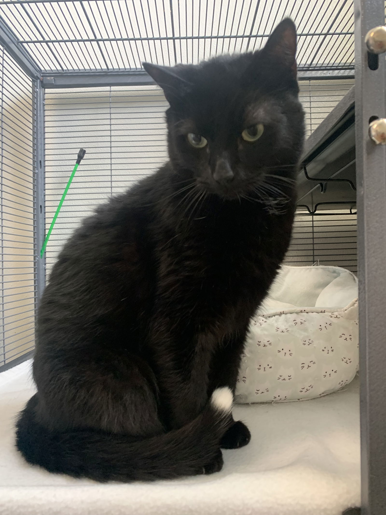 Binx