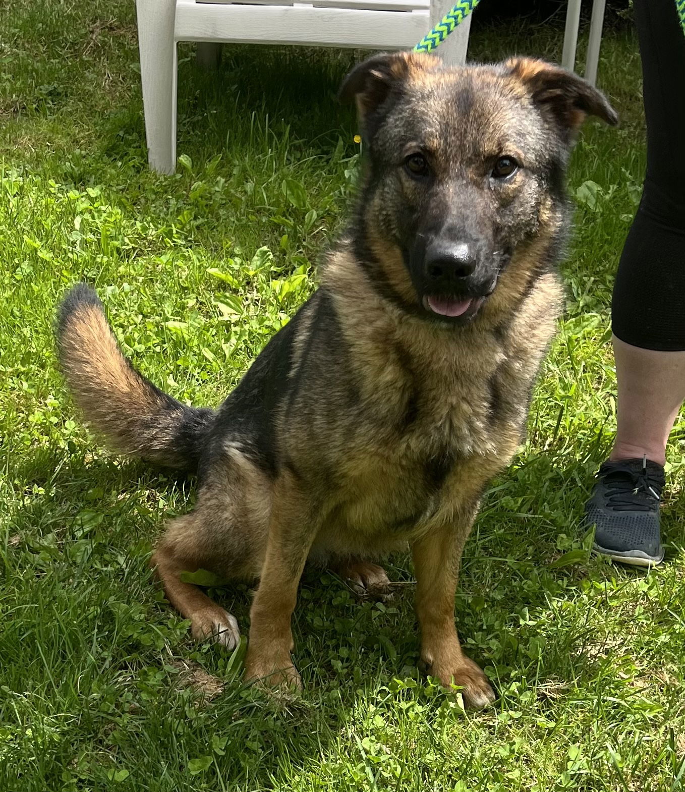 Georgie
