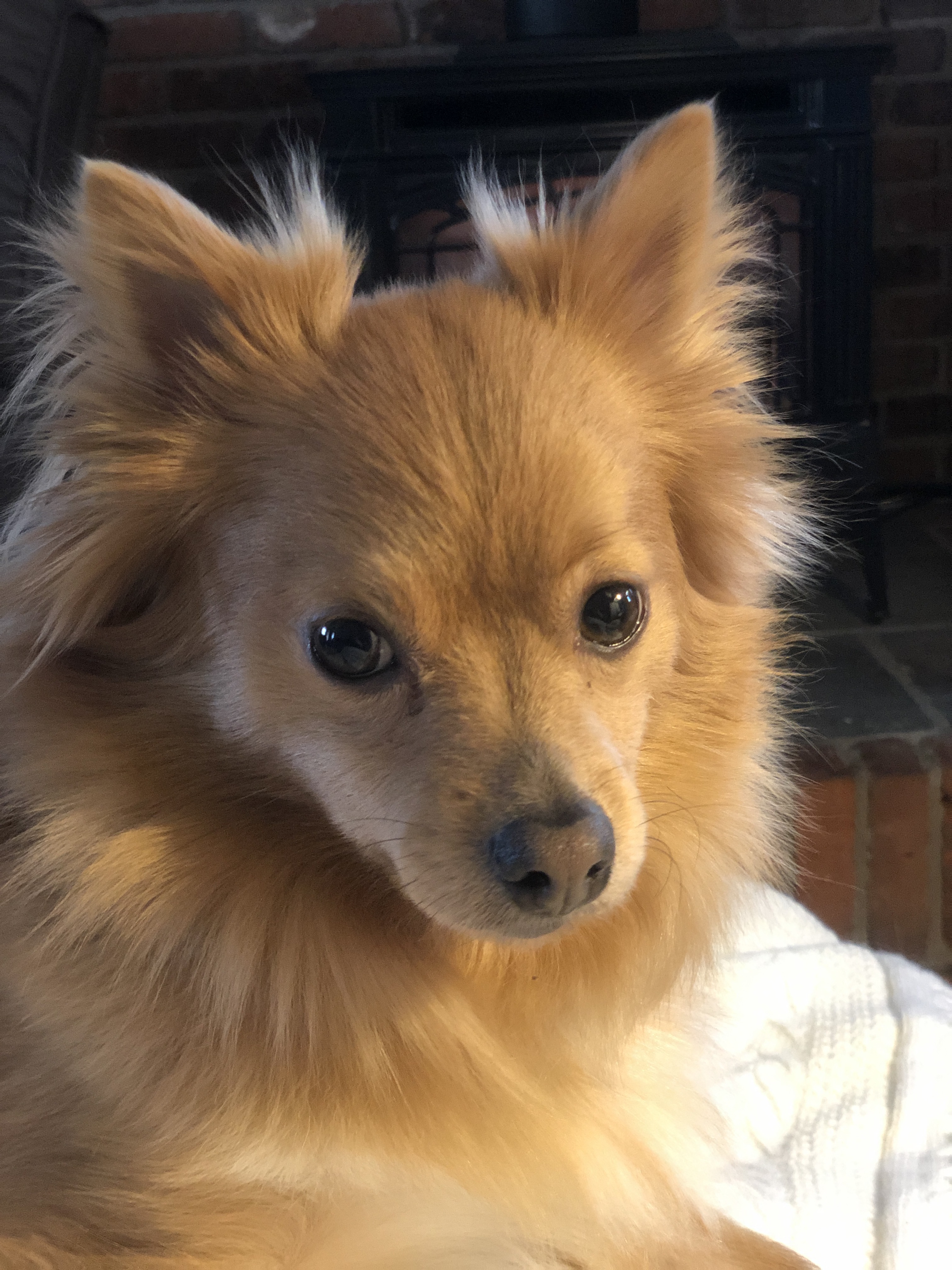 Charlie
