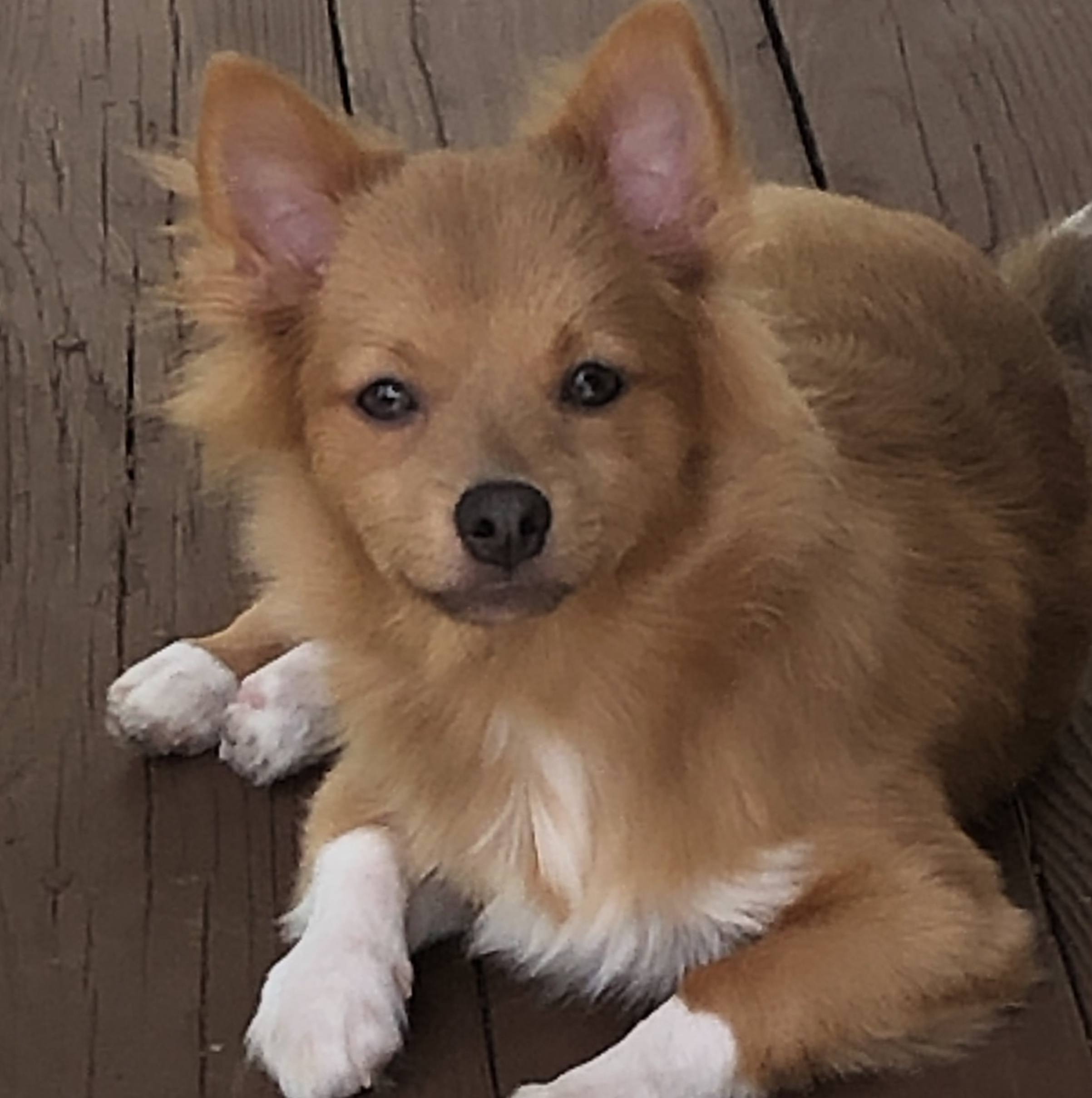 Charlie