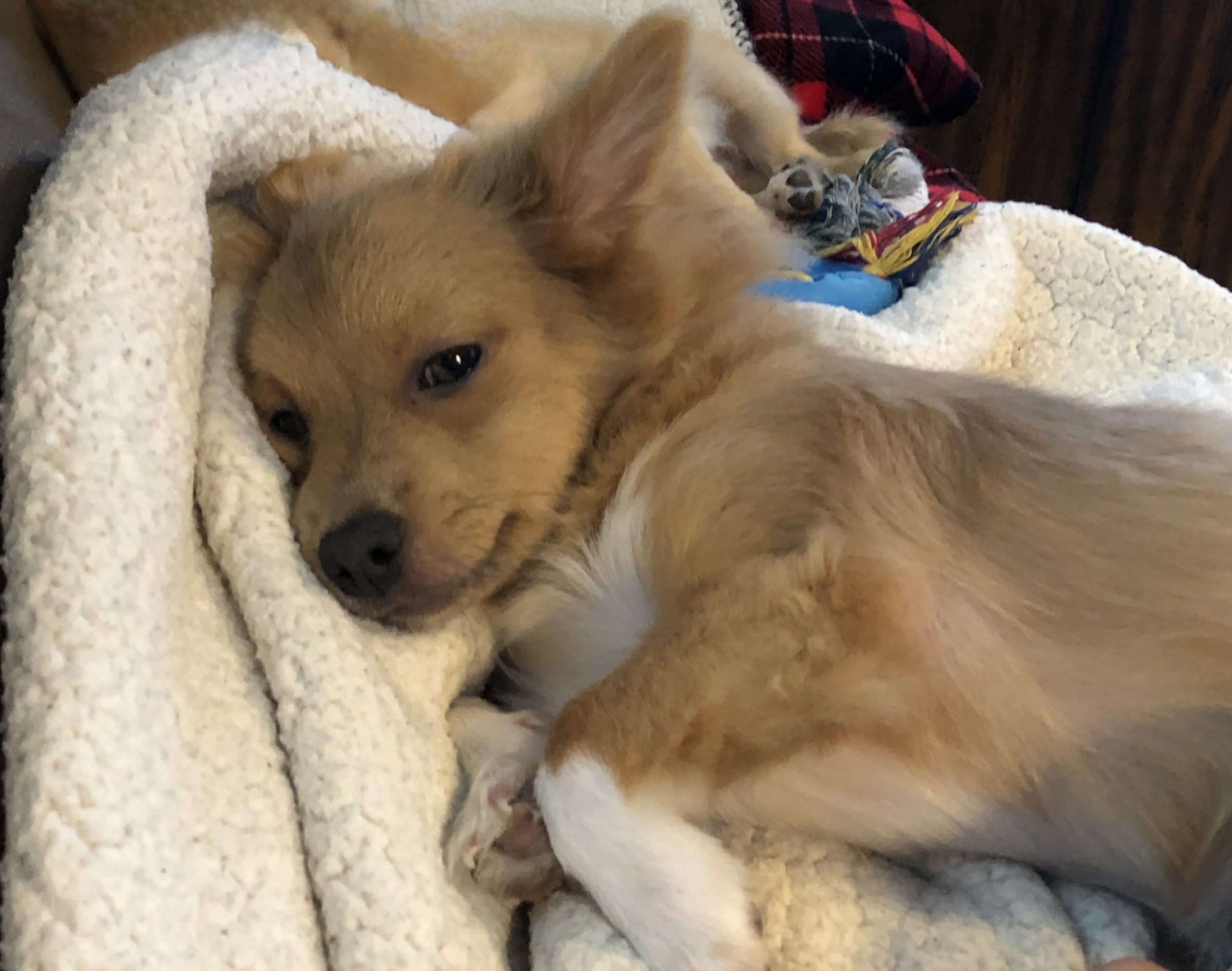 Charlie