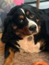 Eclair photo 2