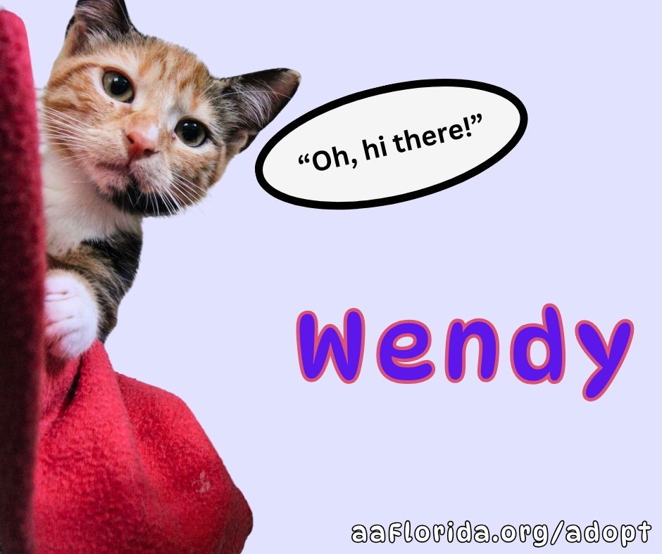 Wendy