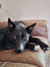 Five photo 1