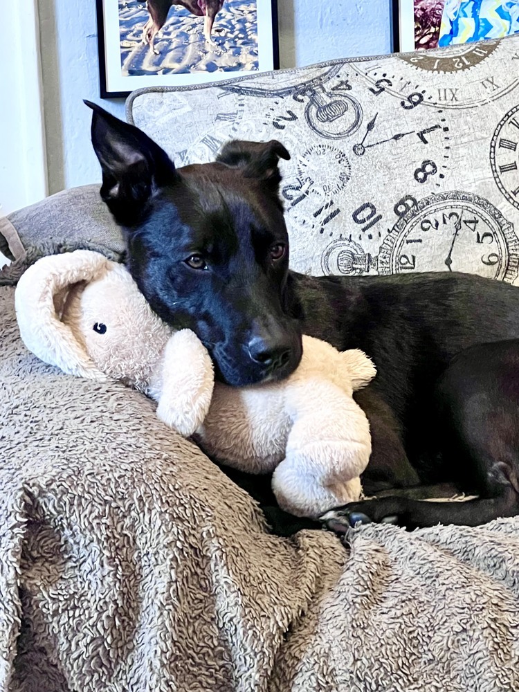 Lucky the Love