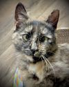 Twyla photo 1