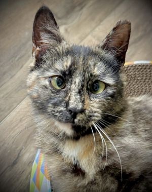 Twyla