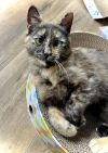Twyla photo 3