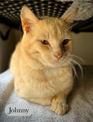Johnny, Senior Male unknown