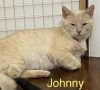 Johnny photo 5