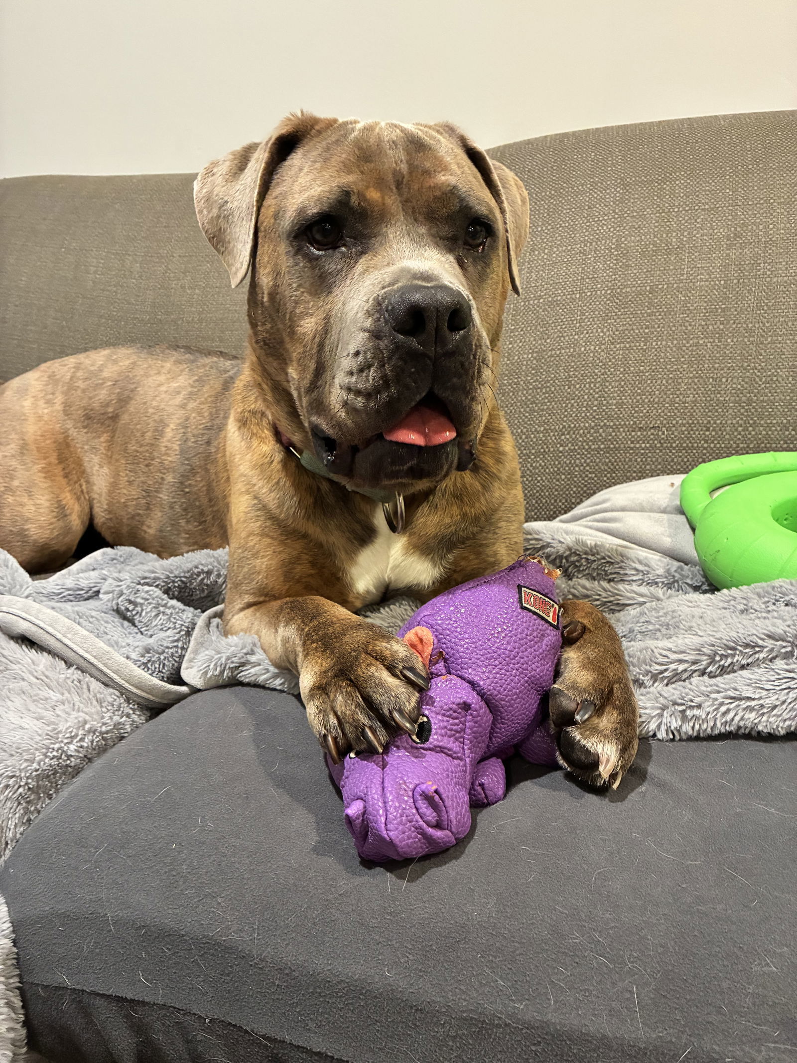 Roxy