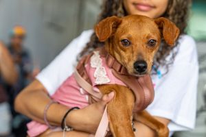 Meet Nelly Canela Eligible for Foster-to-Adopt Canela affectionately known as Nela or Nelly
