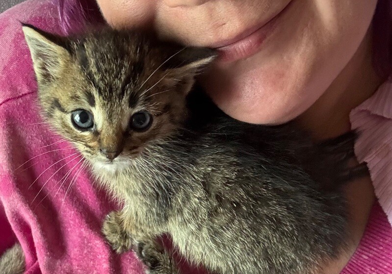 Nugget