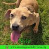 Nyla photo 1