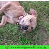 Nyla photo 2