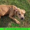 Nyla photo 3