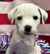 Snoopy MGO in MS photo 3