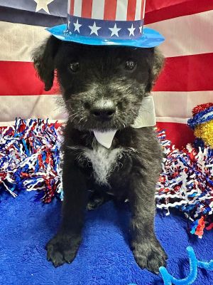 Toto MGO in MS, Baby Male unknown