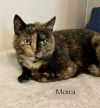 Moira photo 6