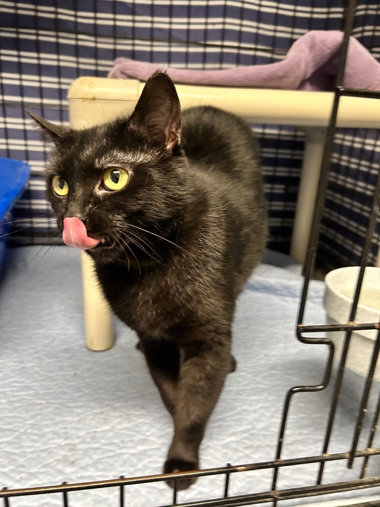 Pepper (prev Moon)