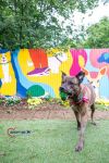 Zoey photo 2