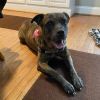 Zoey photo 3