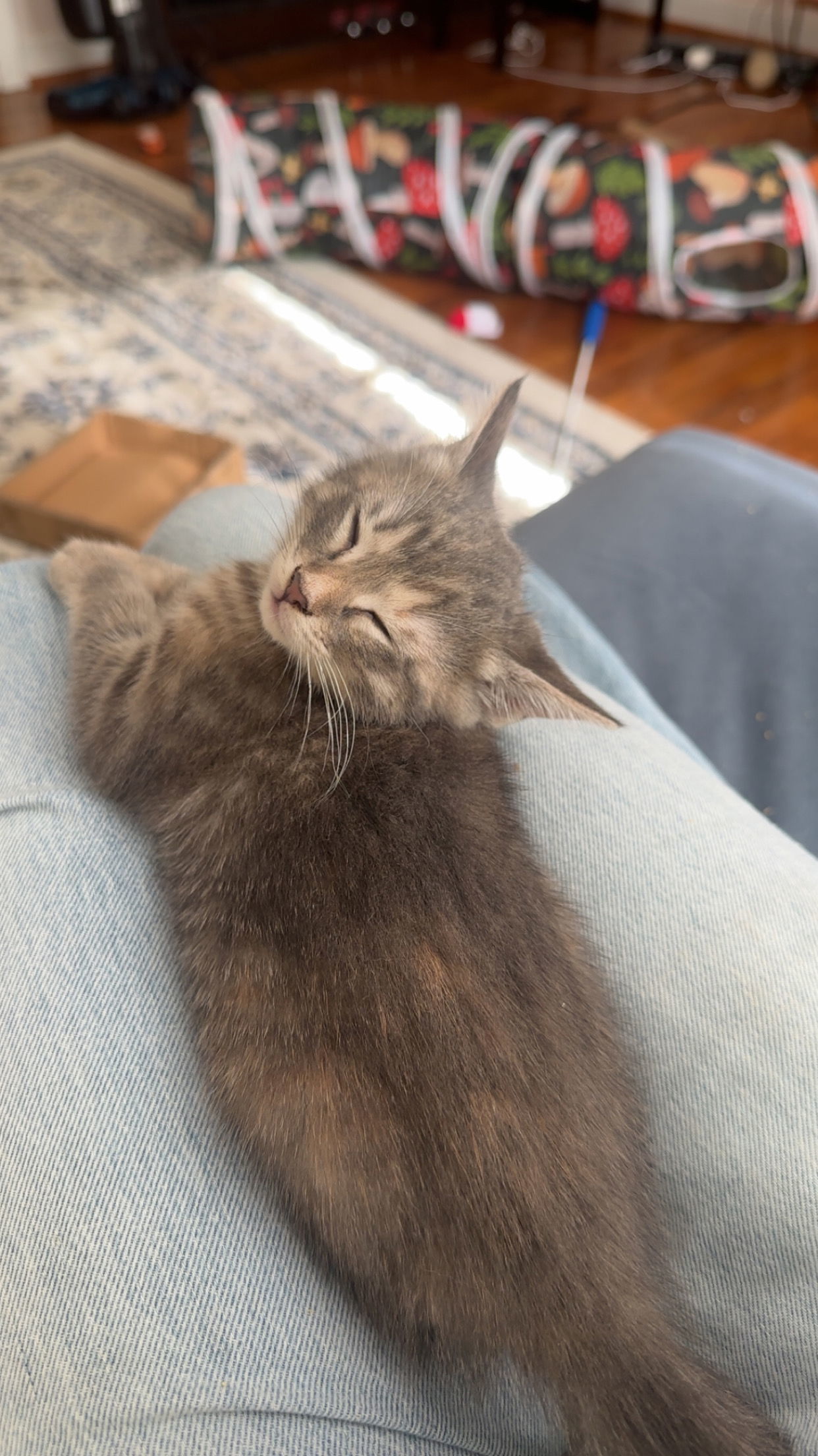 Hugs