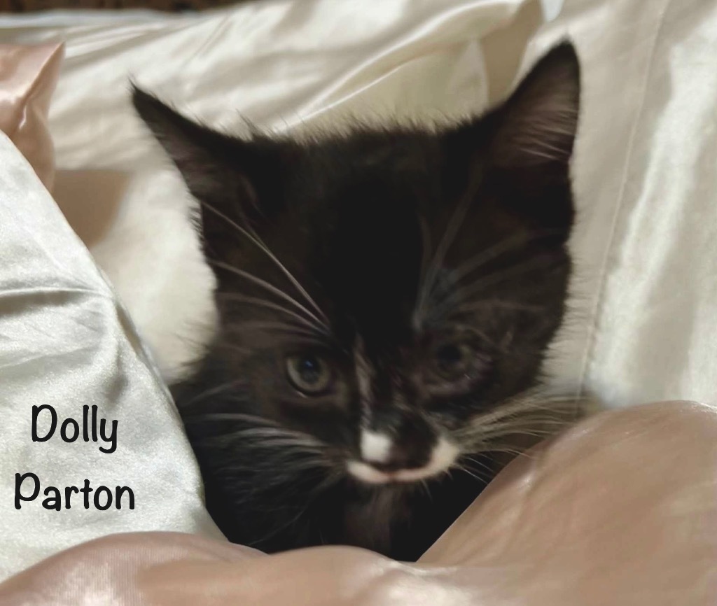 Dolly Parton