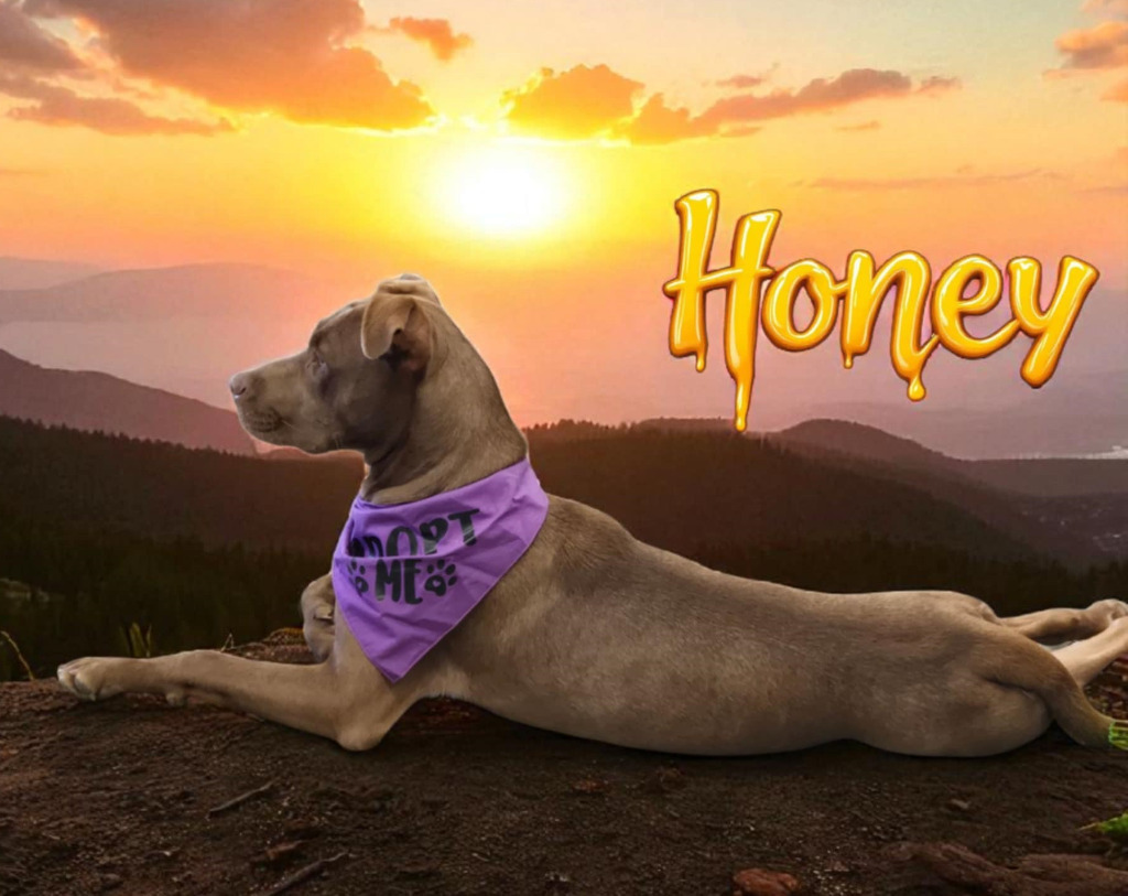 Honey
