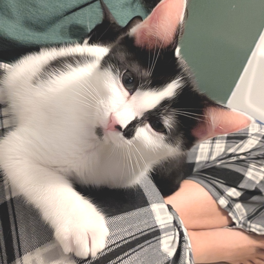 Binx