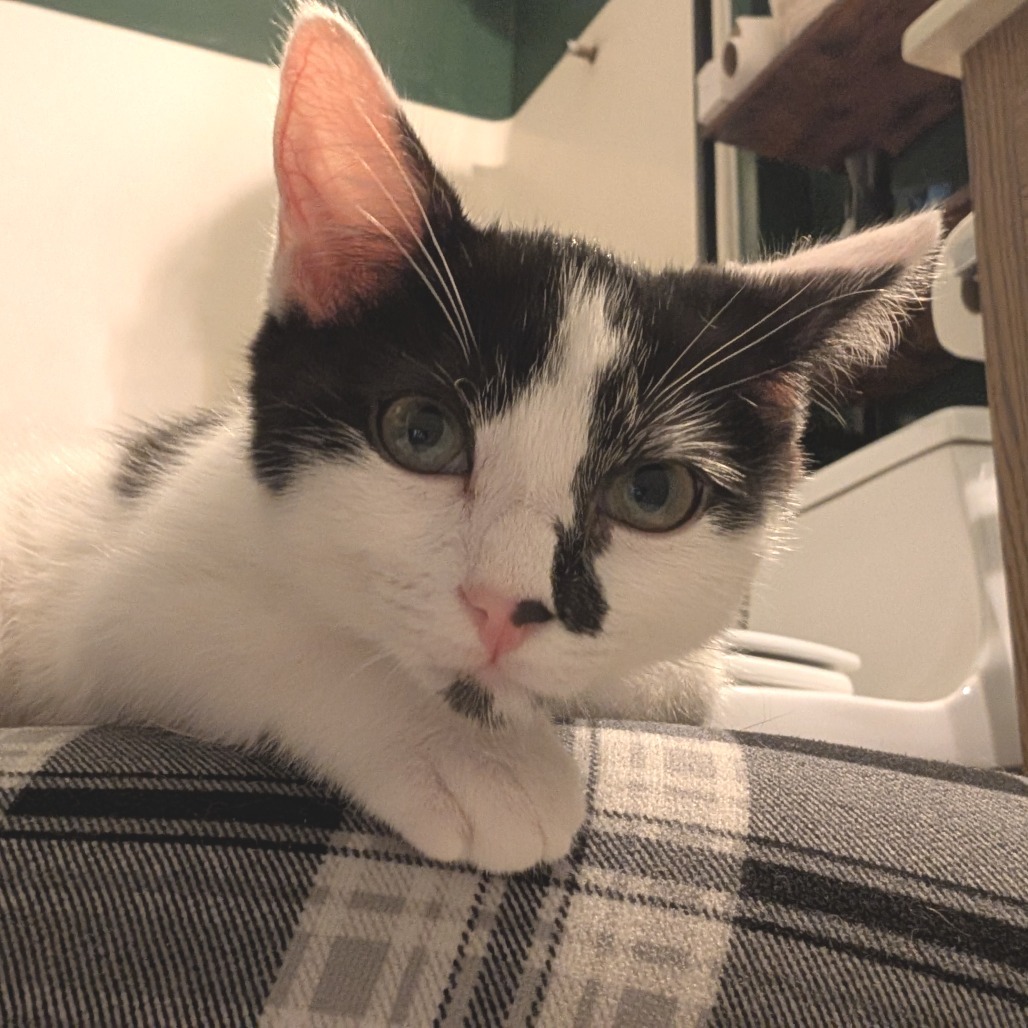Binx