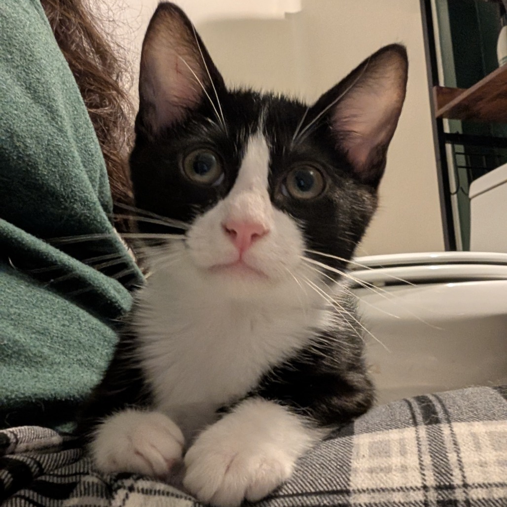 Salem