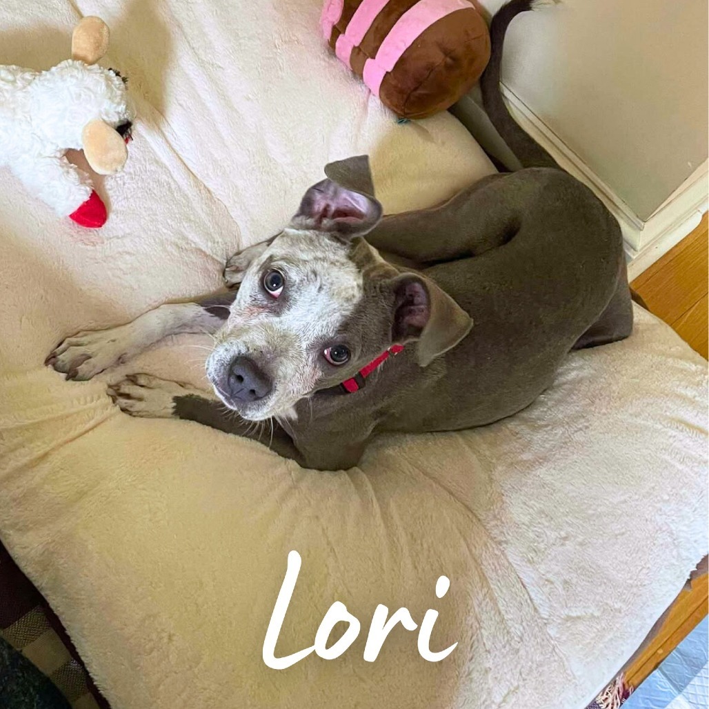 Lori