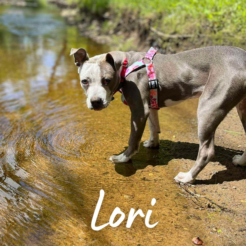 Lori