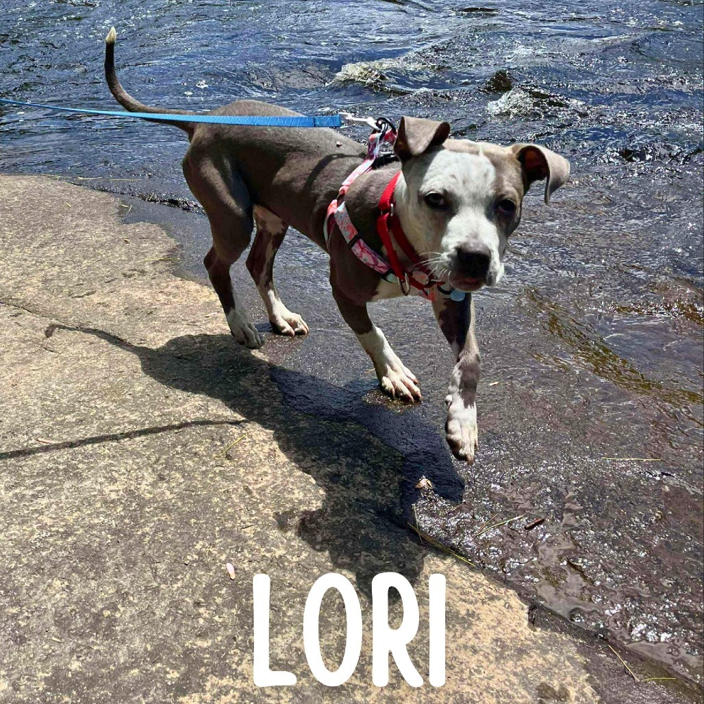 Lori