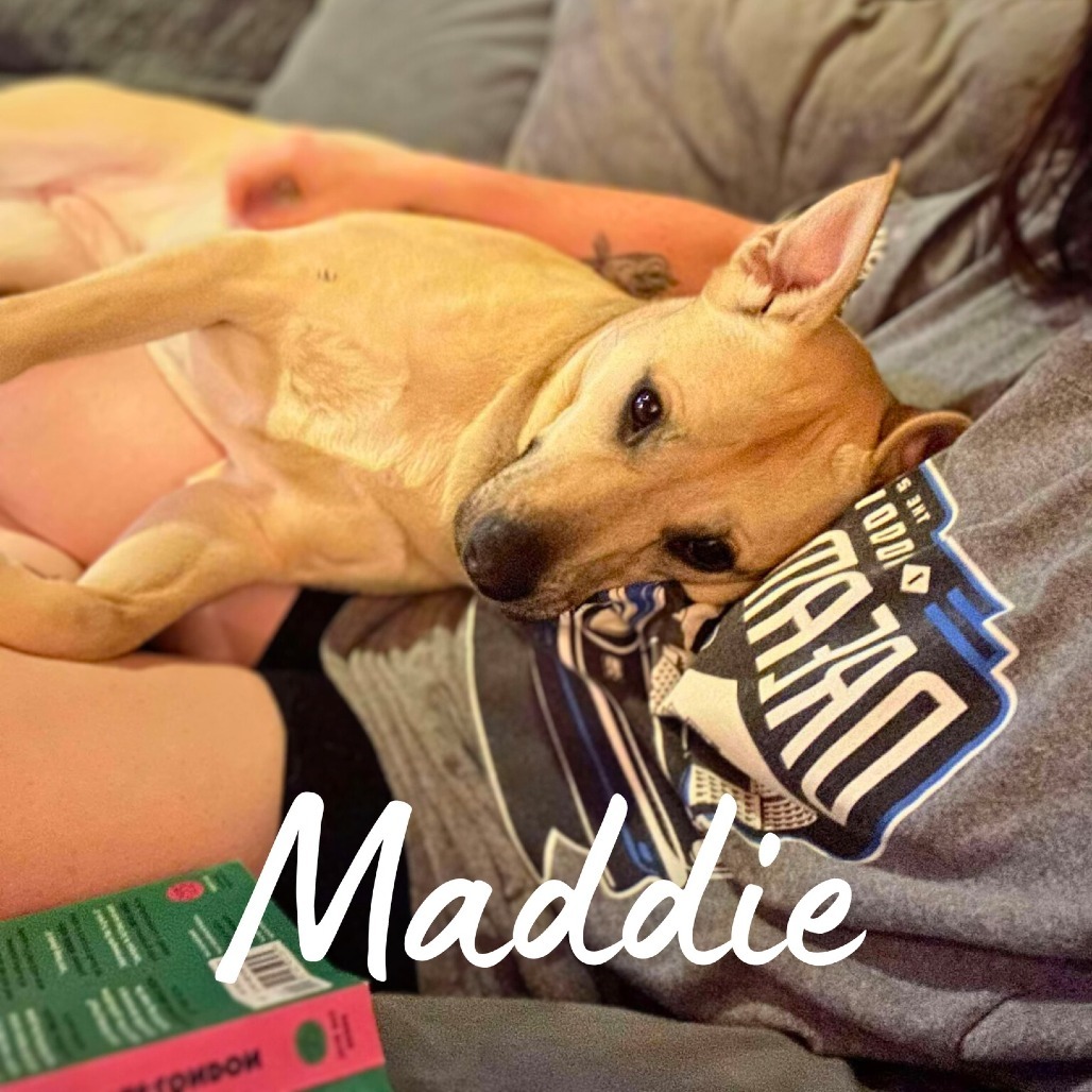 Maddie