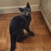 Nina photo 2