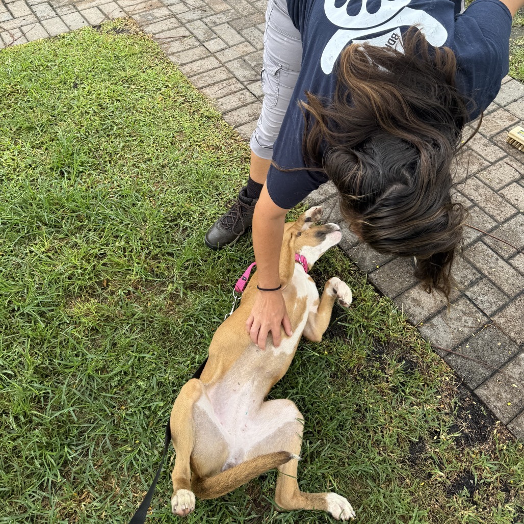 Nala